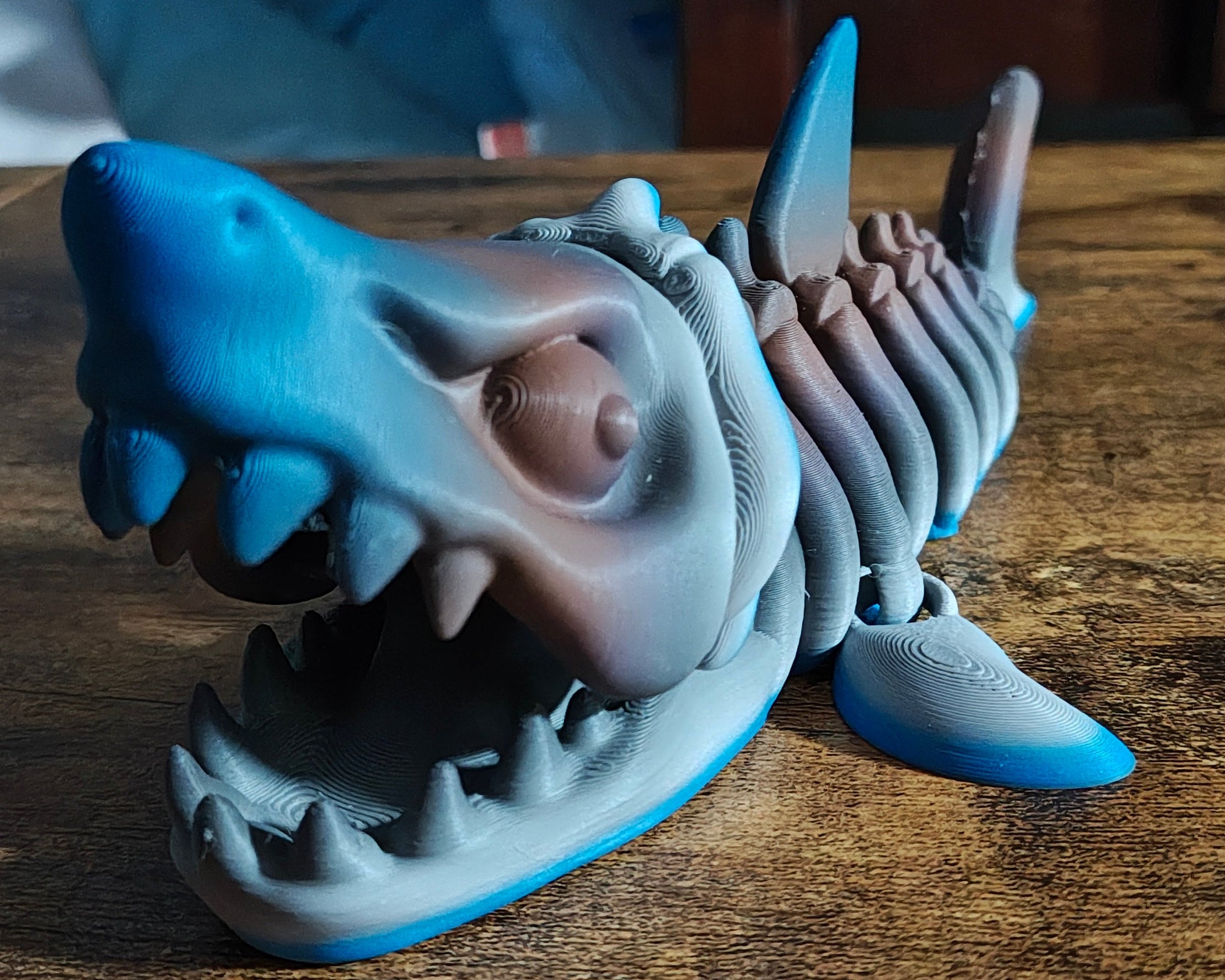 Shark skeleton