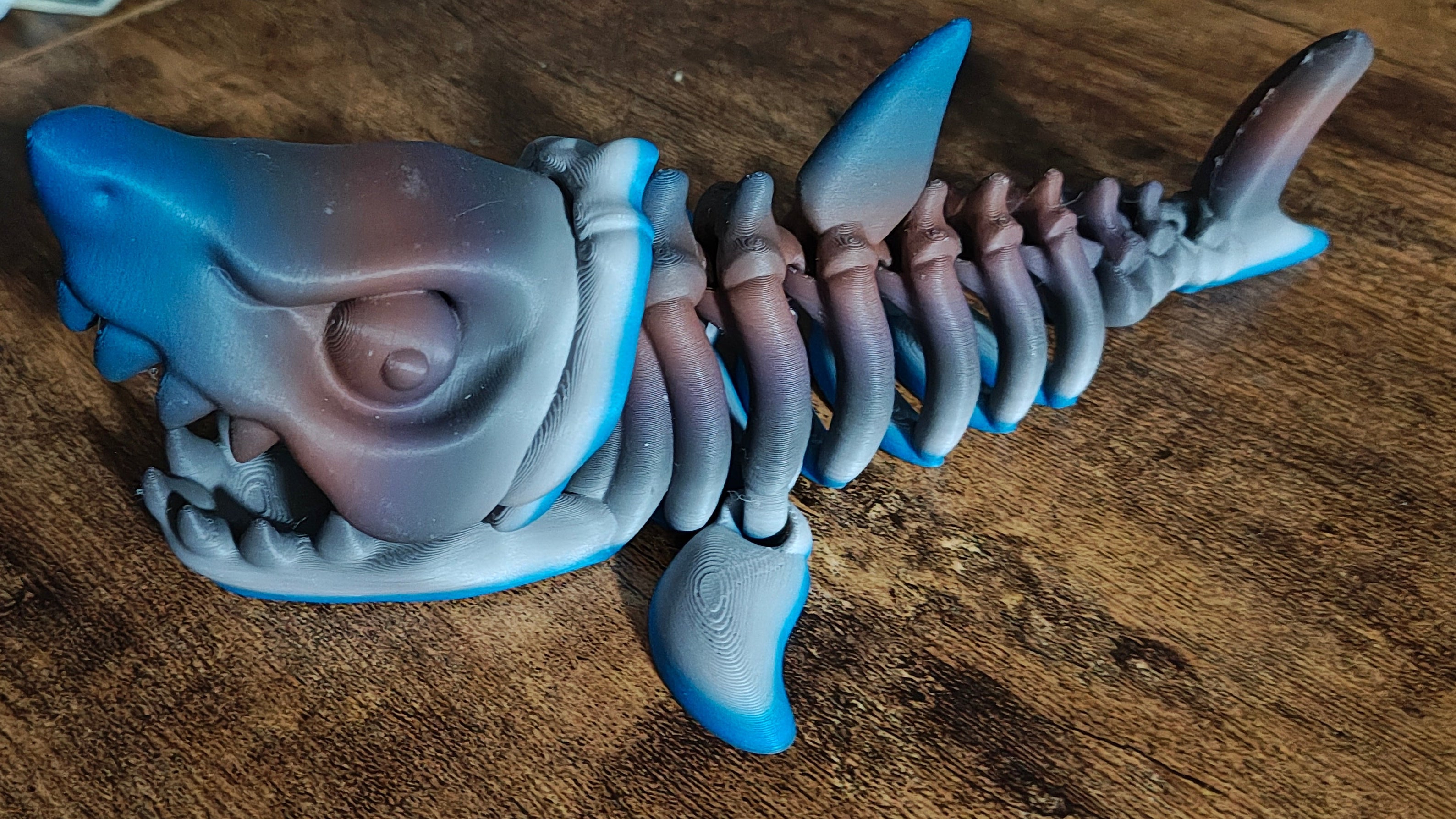Shark skeleton
