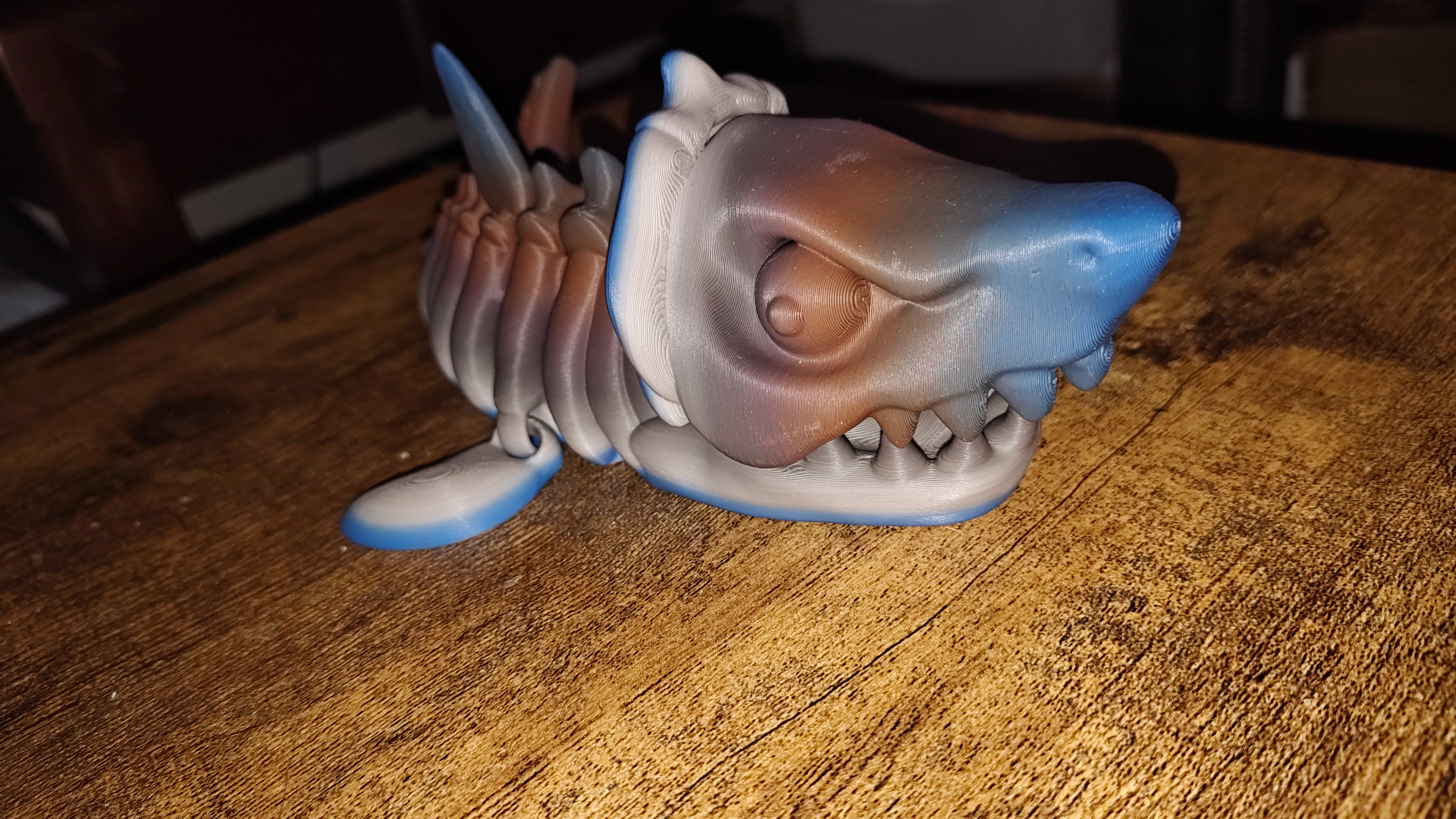 Shark skeleton