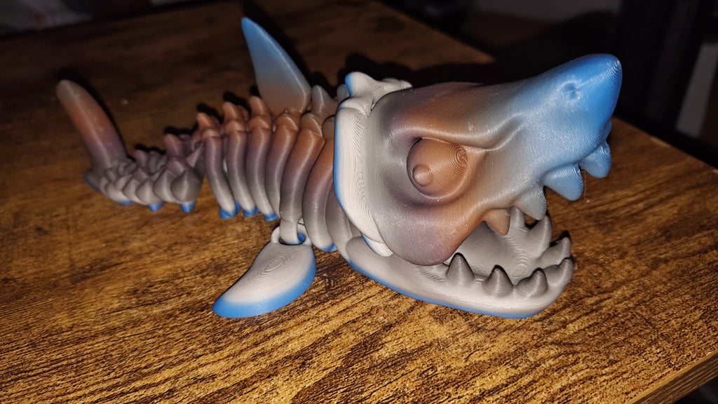 Shark skeleton
