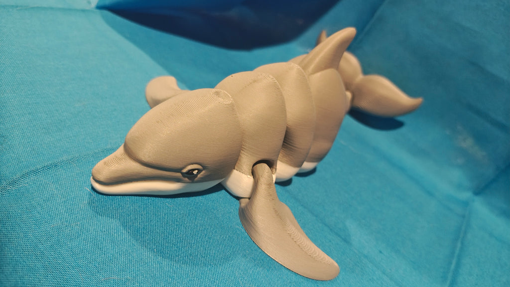 Dolphin