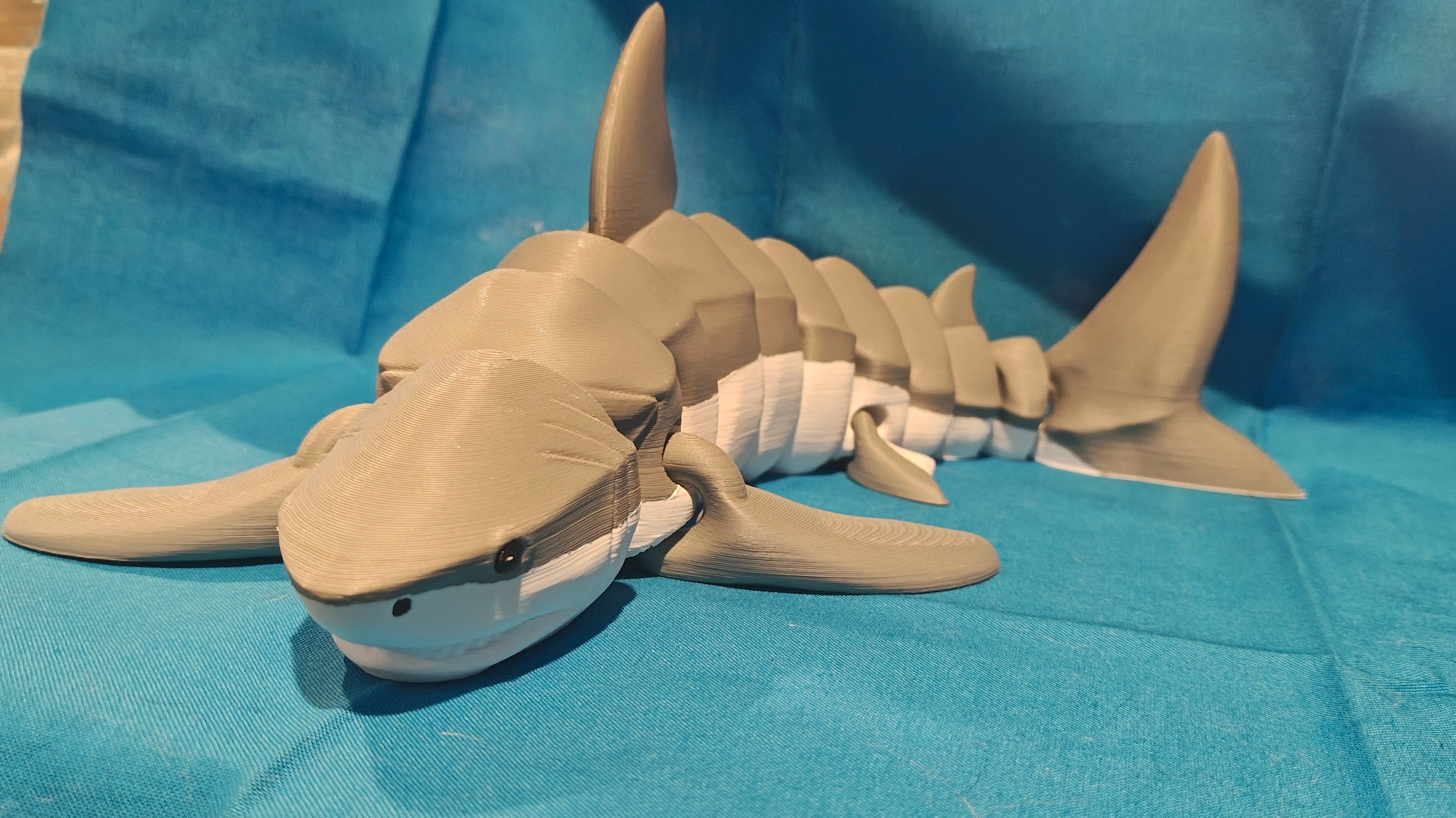 Shark