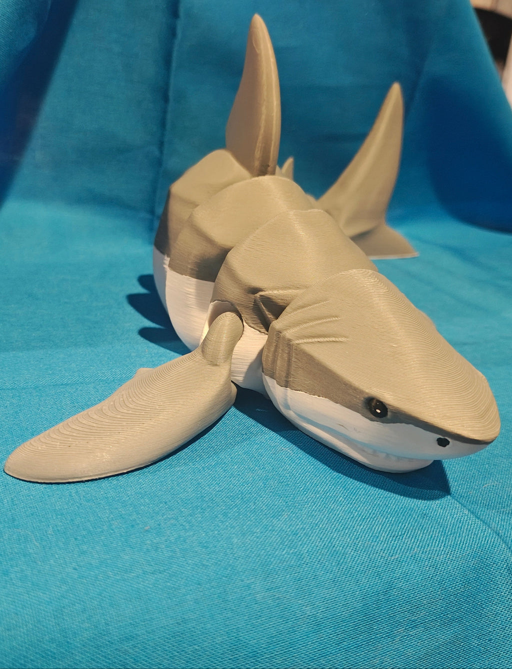 Shark