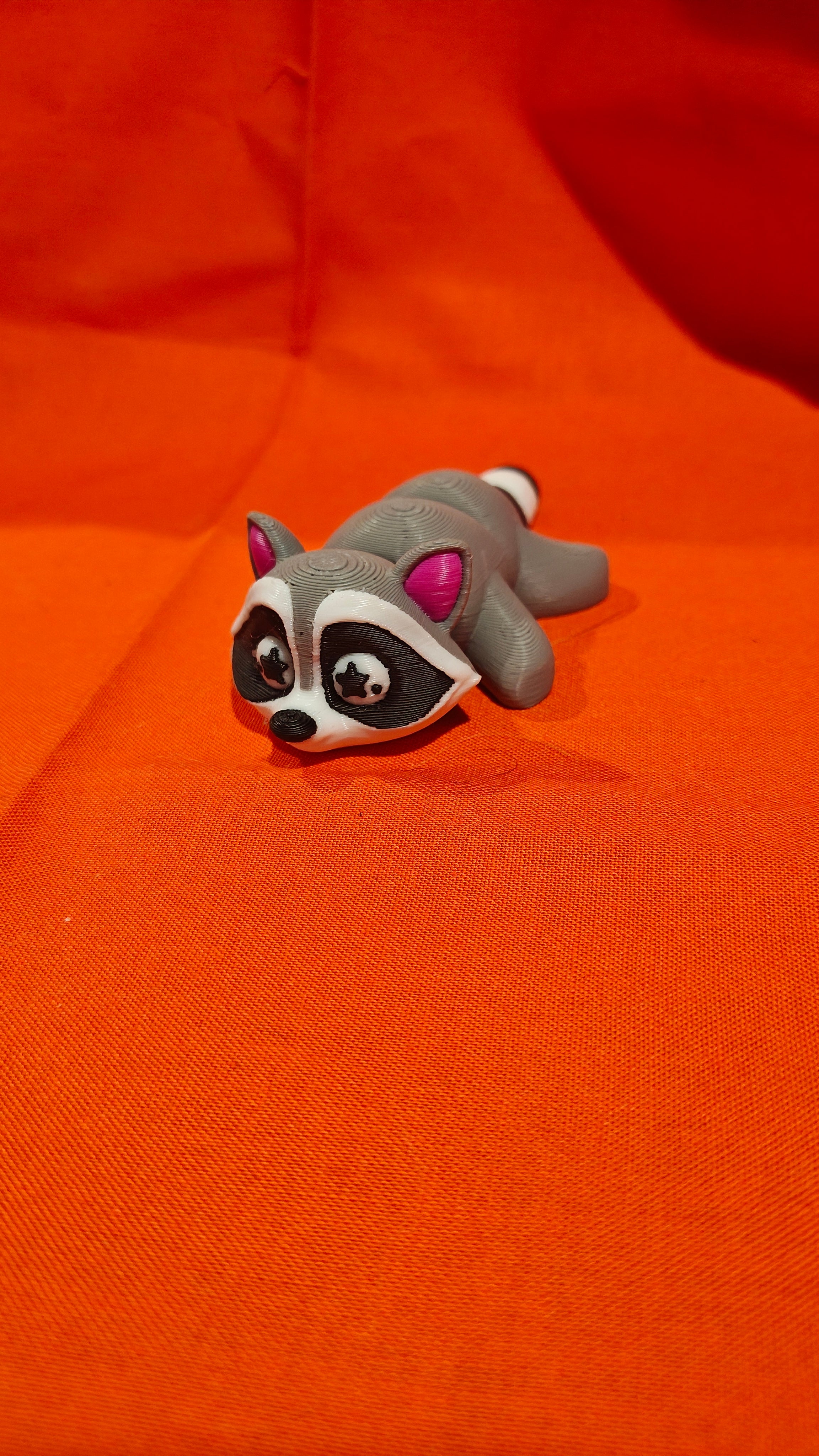 Raccoon