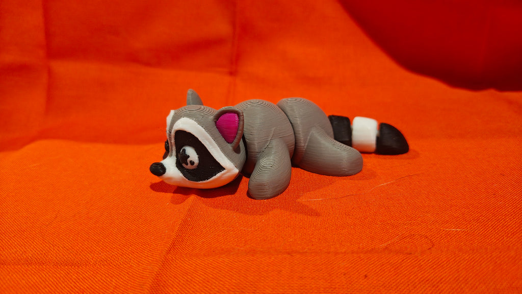 Raccoon