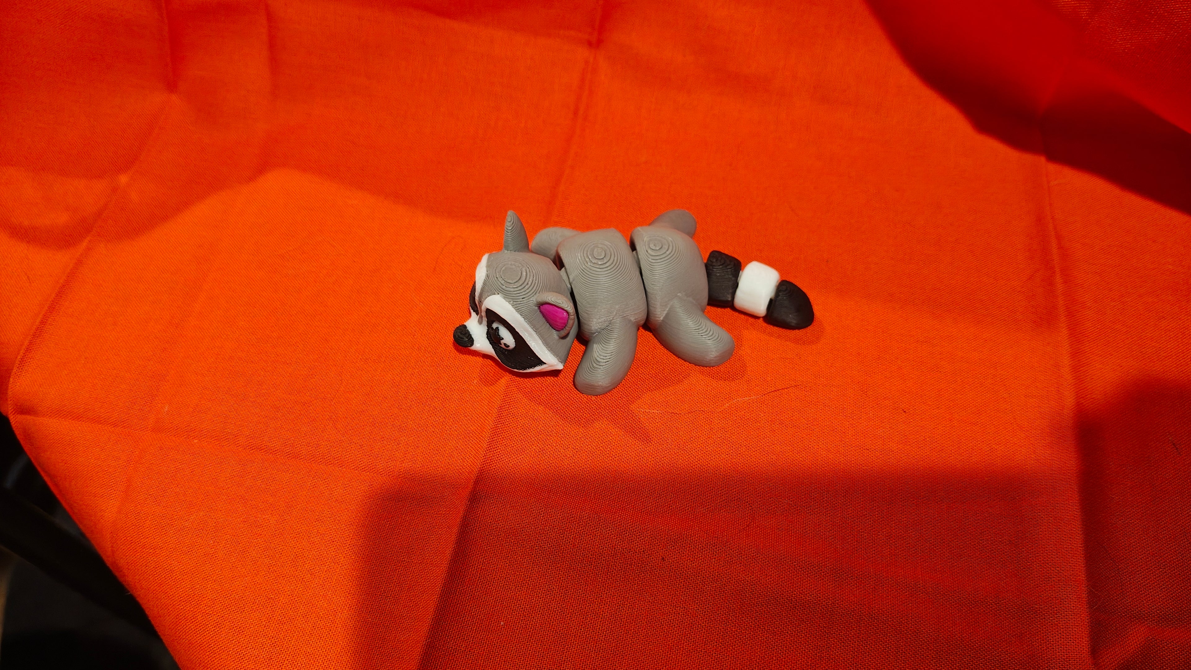 Raccoon