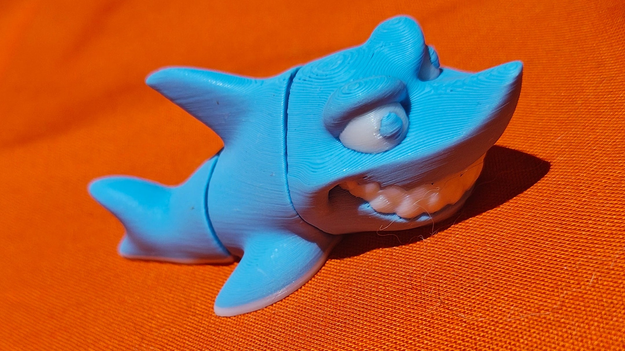 Grinning Shark