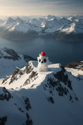 Mini Christmas polar bear