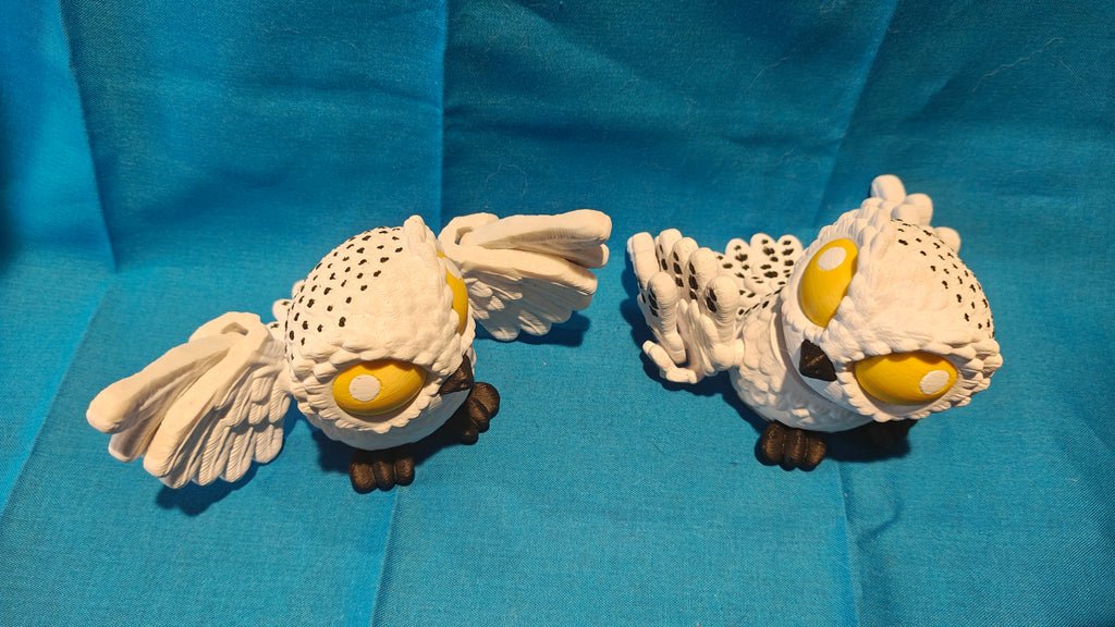 Snowy Owl