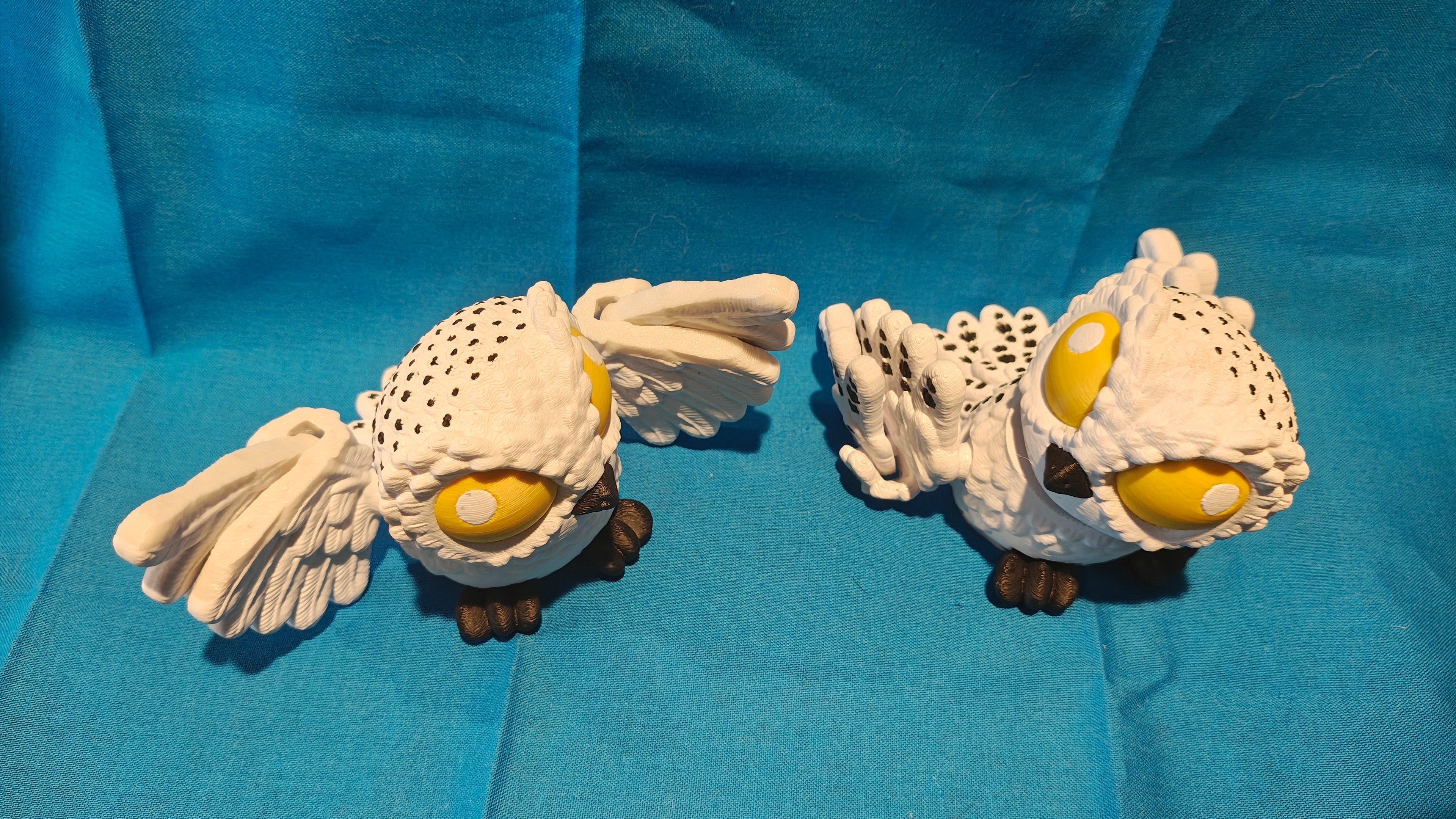 Snowy Owl